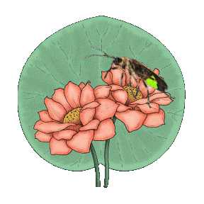 Poem Image
