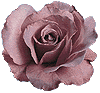 Poem Image