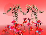 Poem Artwork