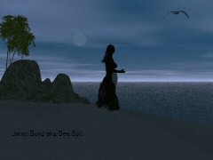 Poem Image