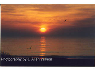 Poem Artwork