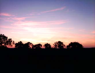 Poem Image