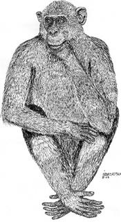 Poem Image