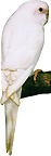 See larger image