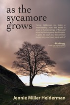 See larger image