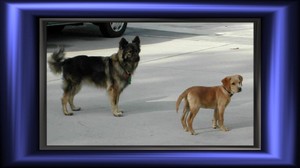 See larger image